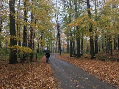 23380201_1515183008535733_813570279894995899_n