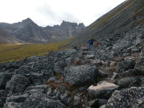 41294295_1854224831298214_8428654129039015936_o