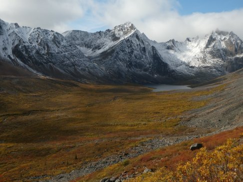 tombautumn00552437_1863032465111646208_o