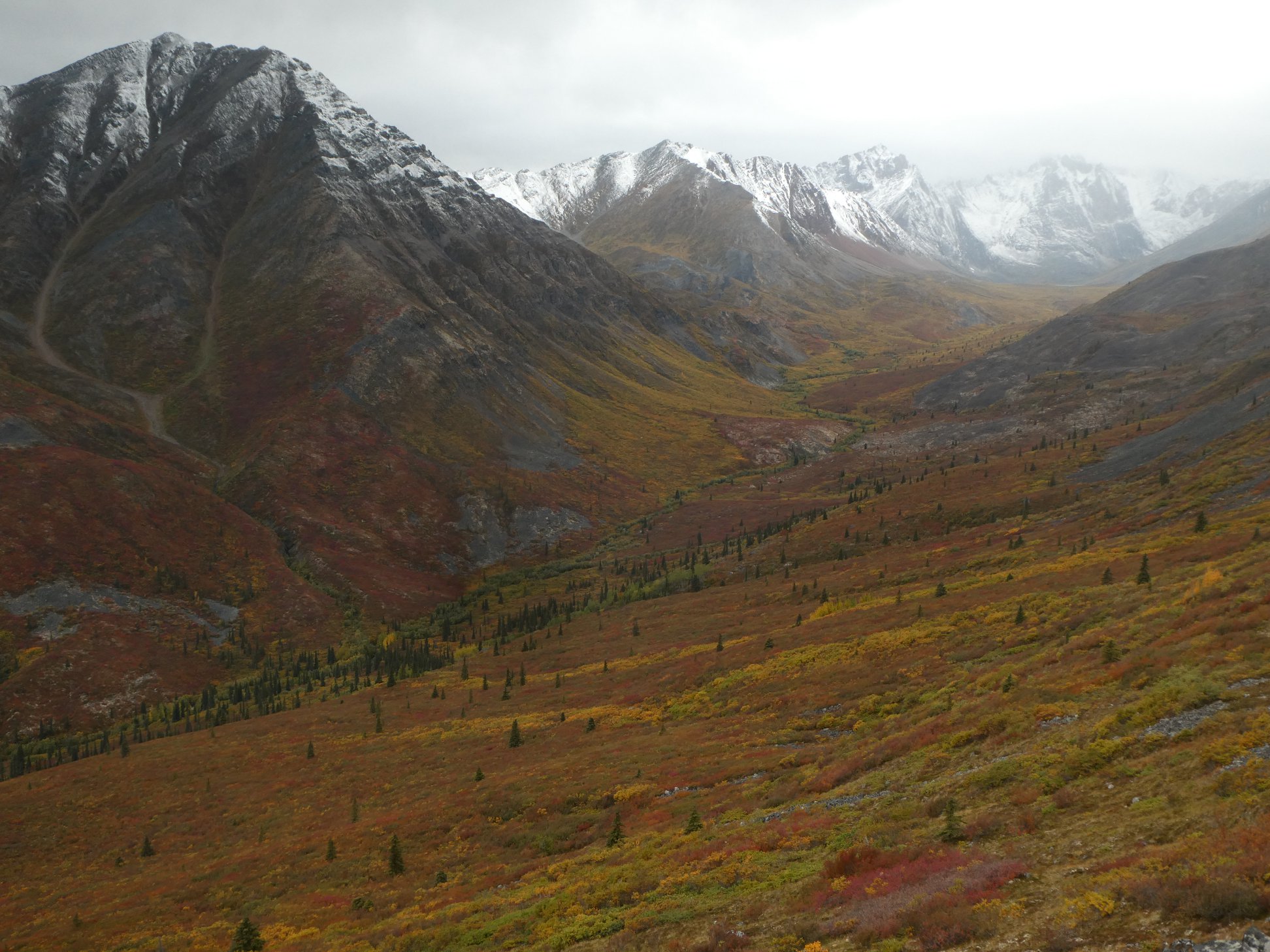 tombfamous467219117_5272378067317161984_o