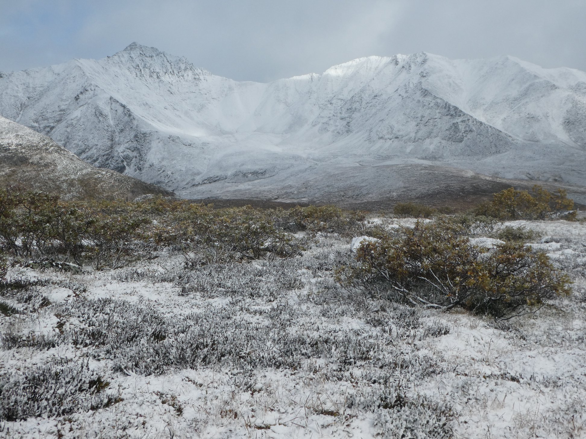 tombsnow 05367686827_668758731911069696_o(1)