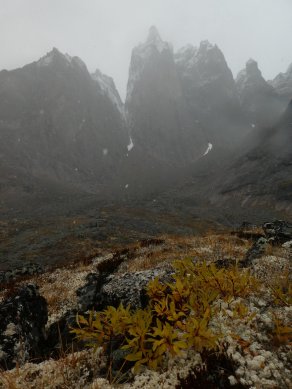 tombwet817439_7166205155883352064_o